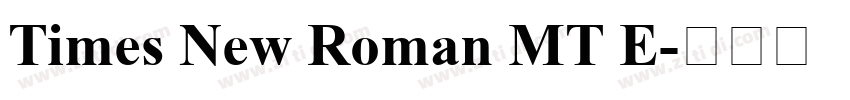Times New Roman MT E字体转换